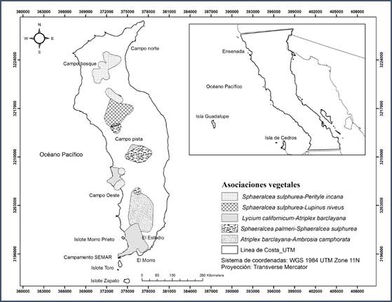 Distribución de las asociaciones vegetales identificadas en los matorrales de Isla Guadalupe.