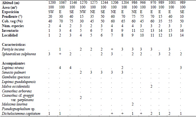 Sphaeralcea sulphurea-Perityle incana