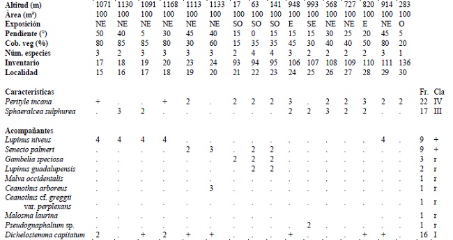Sphaeralcea sulphurea-Perityle incana
