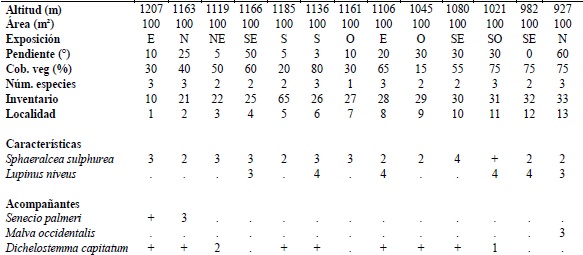Sphaeralcea sulphurea-Lupinus niveu s