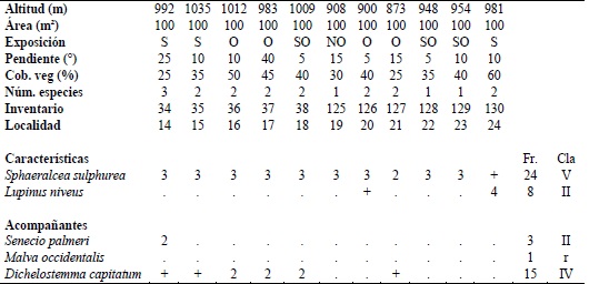 Sphaeralcea sulphurea-Lupinus niveu s