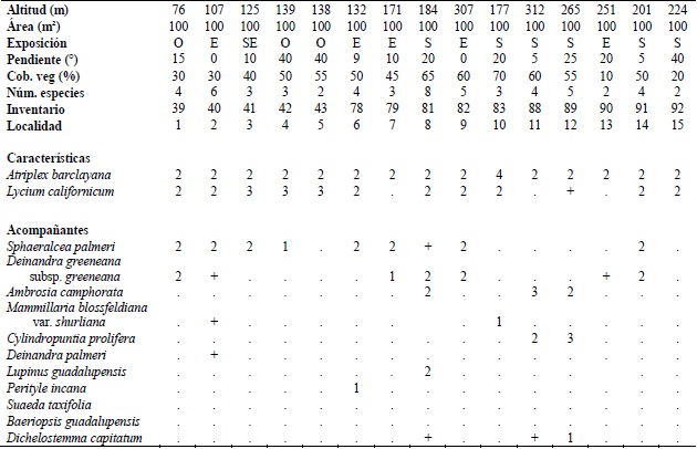 Lycium californicum-Atriplex barclayana