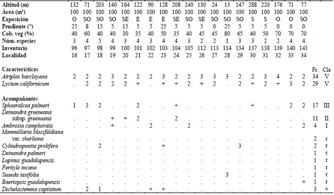 Lycium californicum-Atriplex barclayana