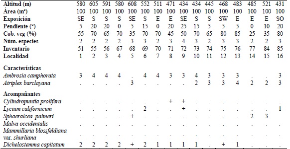 Atriplex barclayana-Ambrosia camphorata