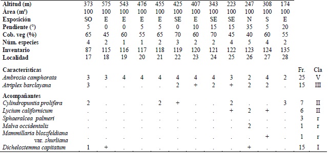 Atriplex barclayana-Ambrosia camphorata