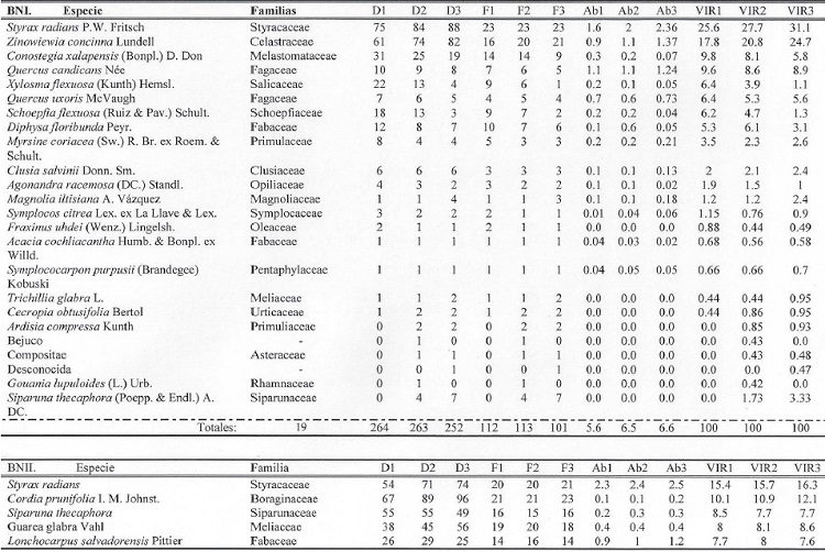 Cambios temporales en las caracter&iacute;sticas estructurales por parcela a lo largo de 12 a&ntilde;os de medici&oacute;n.