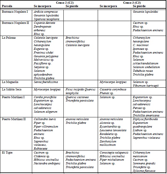 Cambio en la composici&oacute;n de especies del bosque mes&oacute;filo de monta&ntilde;a en la sierra de Manantl&aacute;n en el transcurso de 12 a&ntilde;os.