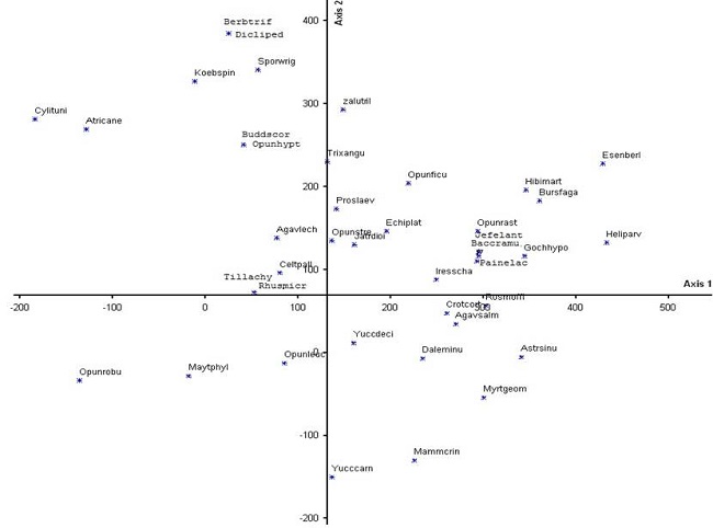 Ordenaci&oacute;n DECORANA de las especies obtenidas en los sitios de muestreo de la matriz de cobertura.