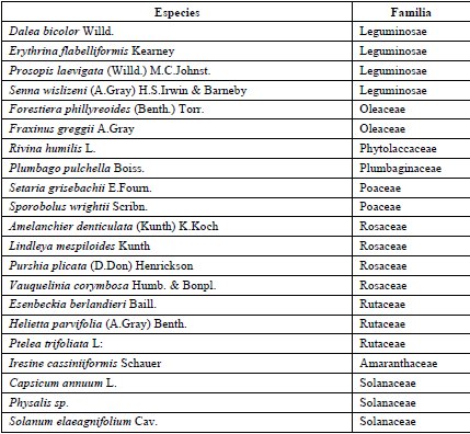 Especies recolectadas por Graciela Calder&oacute;n de Rzedowski en la Joya Honda (Calder&oacute;n de R., 1957)(Cont.)