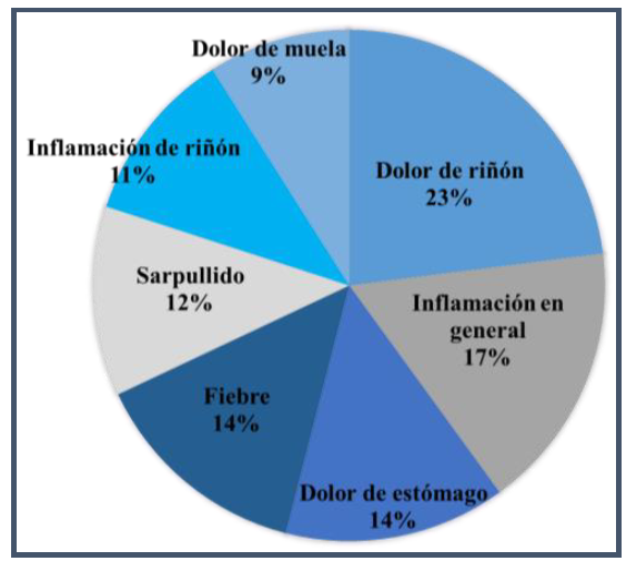 Usos tradicionales de Geranium seemannii Peyr. en la comunidad de Ozumba de Alzate, Estado de M&eacute;xico: se muestra el porcentaje de uso reportado por la poblaci&oacute;n (n = 33).