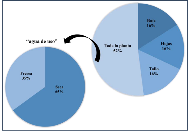Partes utilizadas de Geranium seemannii Peyr en la comunidad de Ozumba de Alzate, Estado de M&eacute;xico: se muestra el porcentaje reportado por la poblaci&oacute;n (n = 33).