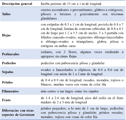 Descripci&oacute;n de Geranium seemannii Peyr.