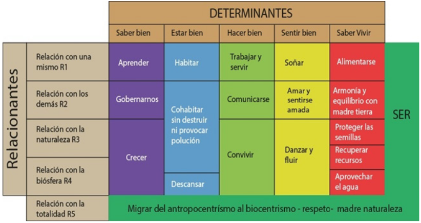 Interaccin de determinantes y relacionantes para formular la mtrica