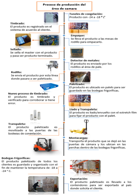 Esquema del nuevo sistema de produccin en cmara