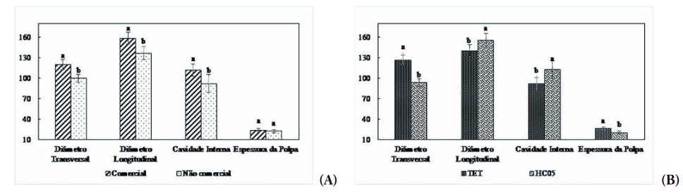 Resultados de dimensionamento dimetro transversal mm longitudinal mm cavidade interna mm e espessura da polpa mm para os frutos de abbora Letras iguais no diferem entre si p005 pelo teste de Tukey quando avaliado comercial x no comercial A e TET x HC05 B