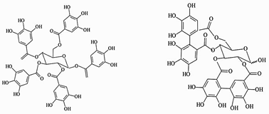 Estruturas de Taninos Hidrolis�veis Galotanino e Elagitanino