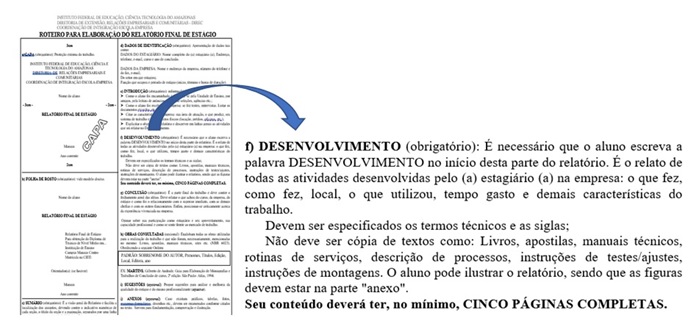 Relatório reflexivo de ciências naturais