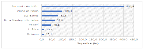 P&eacute;rdida en t&eacute;rminos absolutos (ha) de humedales en el &aacute;rea de estudio