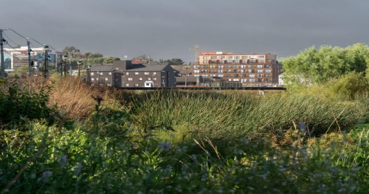 Humedal Paicav&iacute; (Concepci&oacute;n)