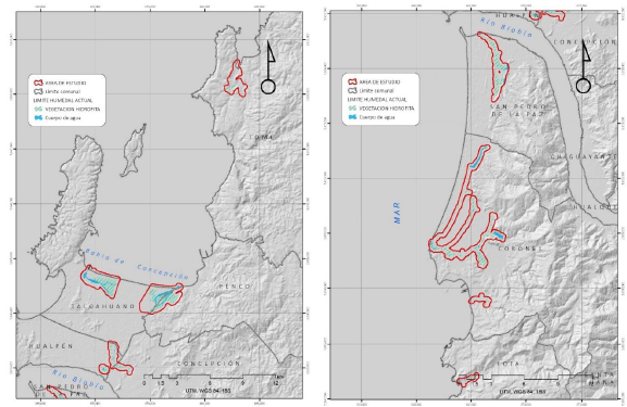 &Aacute;rea de estudio