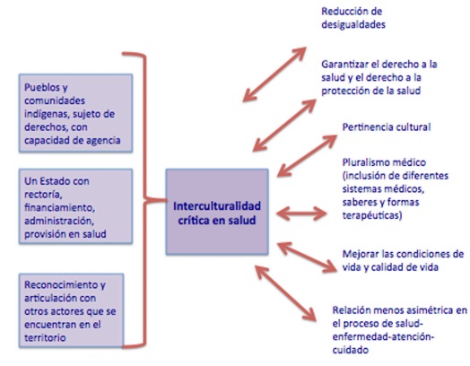La interculturalidad crítica en salud