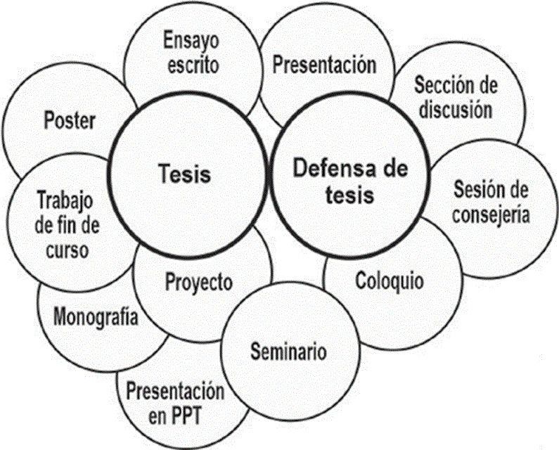 Colonia de g&eacute;neros de evaluaci&oacute;n en el contexto acad&eacute;mico2