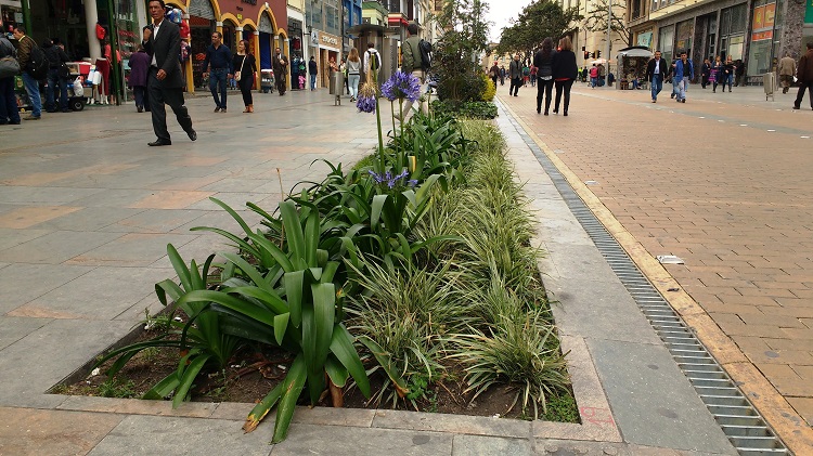 Estructura de arquitectura verde,
carrera 7, centro de Bogot&aacute;, DC, Colombia