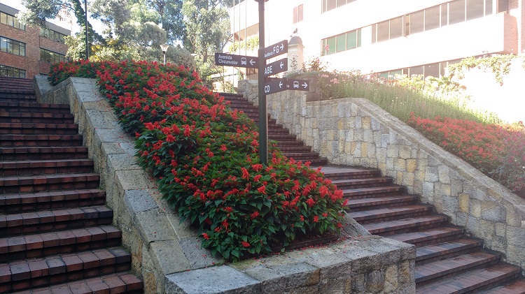 Infraestructura de arquitectura
verde, Universidad Externado de Colombia, Bogot&aacute;, DC