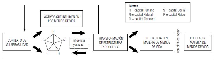 Enfoque de Medios de Vida