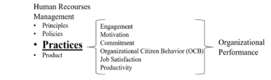 HRM Practices as Direct Promoters of Intermediate Outcomes