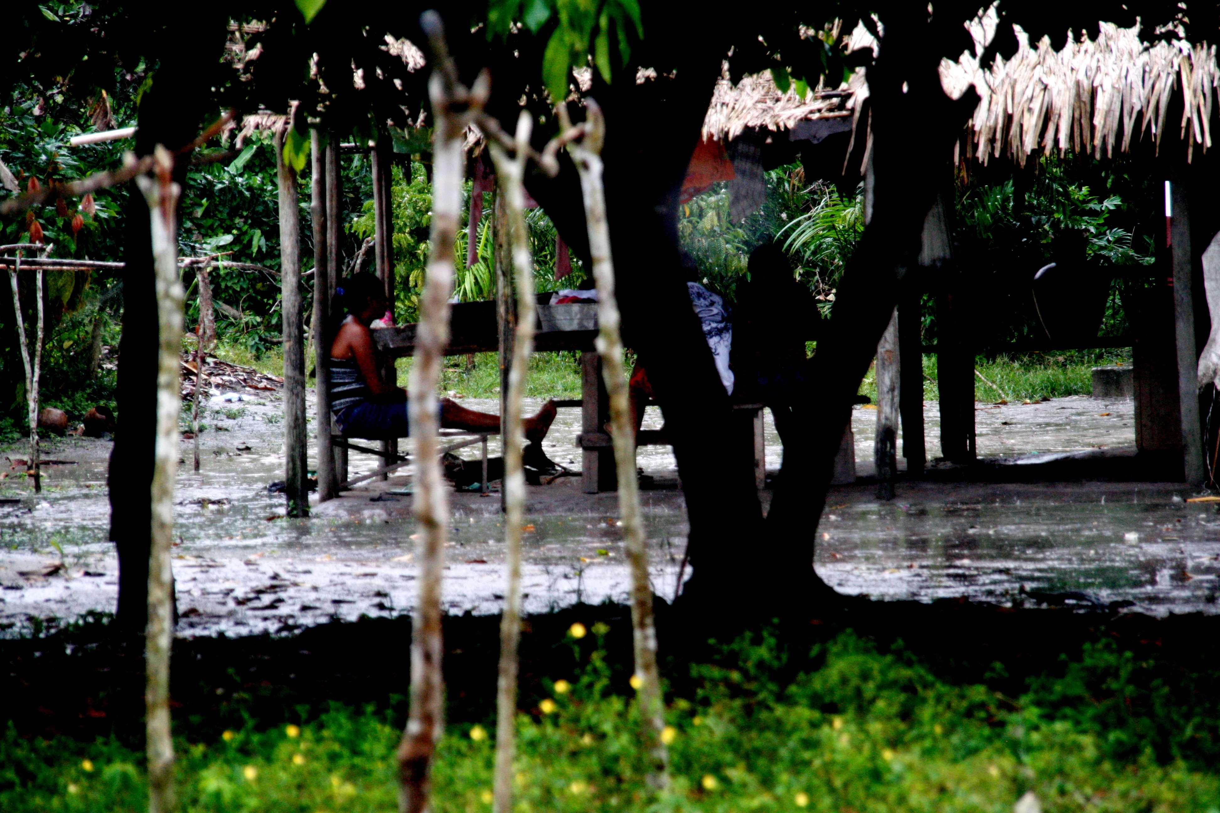 Nas cercanias da terra ind&iacute;gena Andir&aacute;-Marau