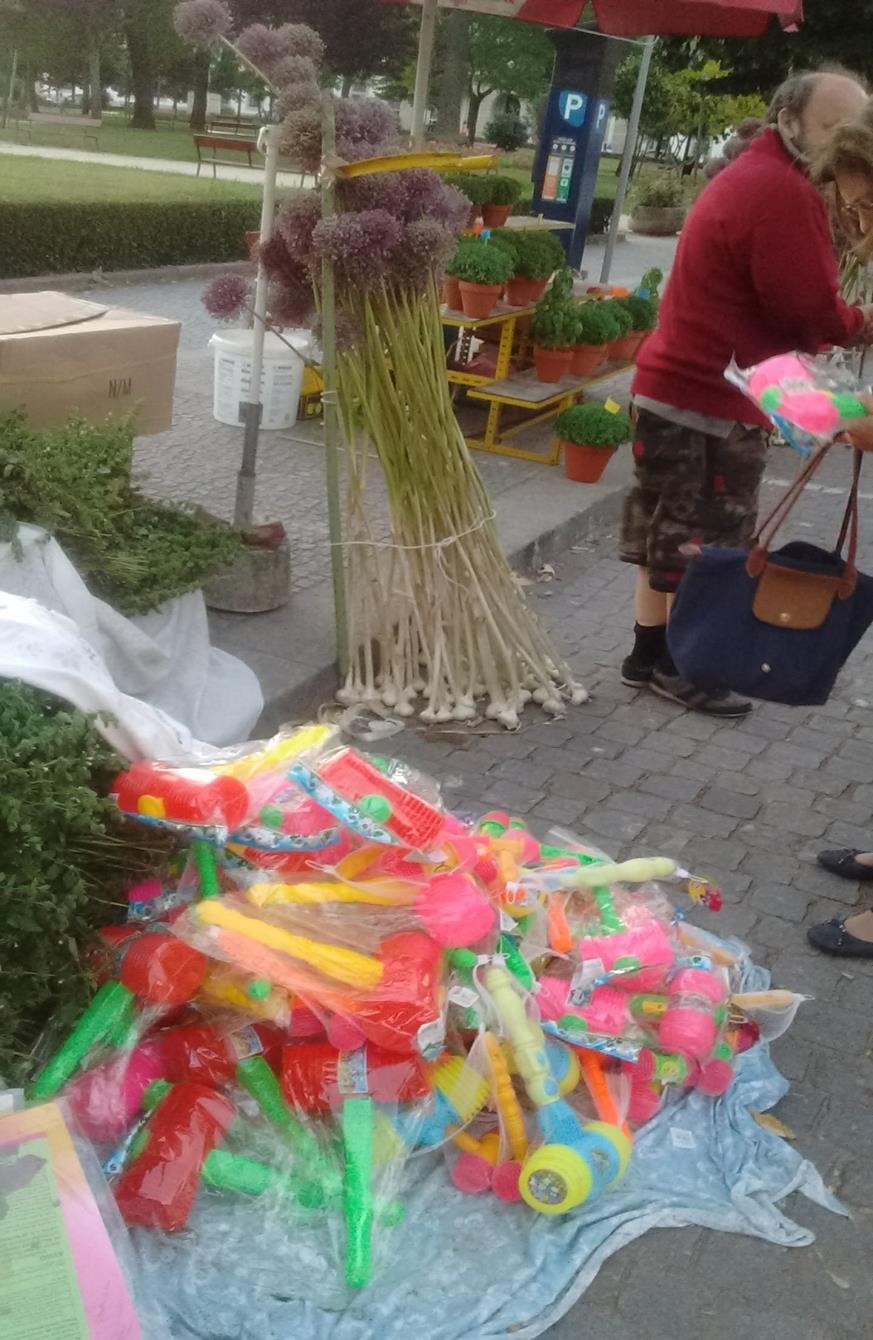 Martelinhos de plásticos, alho-poró e manjericão à venda