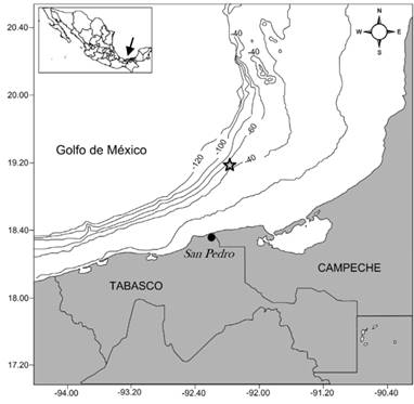 Localización del sitio de captura (estrella gris) y localidad de desembarque (círculo negro) del ejemplar albino deAriopsis felis en el sureste del Golfo de México. Los números negativos representan las isobatas en metros