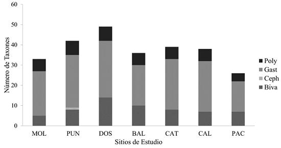 Números de taxones y clases en cada sitio de estudio en la provincia de Islay. MOL: Mollendito; PUN: Punta Islay-El Faro; DOS: Dos playas; BAL: Ballenitas; CAT: Catarindo; CAL: Calera; PAC: Pacae. Clases: Poly: Polyplacophora; Gast: Gastropoda; Ceph: Cephalopoda; Biva: Bivalvia