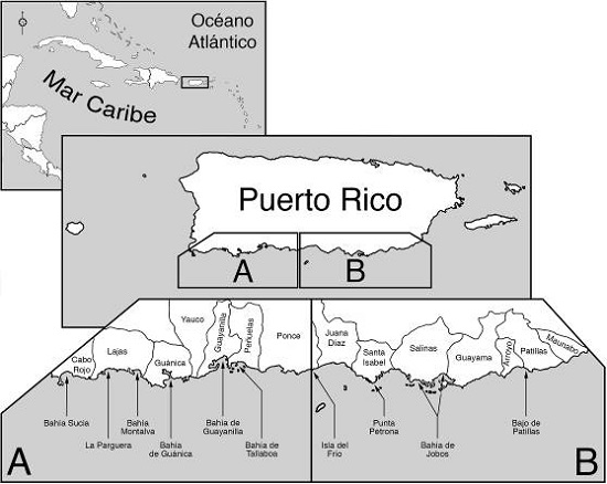 Área de estudio en Puerto Rico, se detallan las dos secciones de la costa sur de la isla donde se llevaron a cabo los censos aéreos (A y B), y las localidades más relevantes