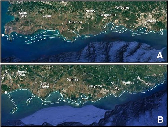 Plan y transectos de vuelo para las costas suroeste (A) y sureste (B) de Puerto Rico. El círculo relleno, color blanco indica el comienzo del vuelo, el circulo vacío blanco indica el final del vuelo