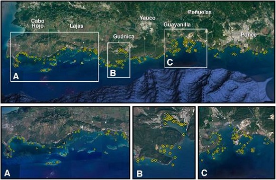 Distribución de los avistamientos de manatíes para los censos aéreos llevados a cabo entre el 2001 y 2015 en la costa suroeste de Puerto Rico, se detallan las tres áreas de mayor uso de hábitat: A) bahía Sucia, La Parguera y cayos adyacentes en Cabo Rojo y Lajas, B) ensenada Las Pardas y bahía de Guánica y C) bahía de Guayanilla y bahía de Tallaboa en Guayanilla y Peñuelas