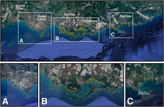 Distribución de los avistamientos de manatíes para los censos aéreos llevados a cabo entre el 2001 y 2015 en la costa sureste de Puerto Rico, se detallan las tres áreas de mayor uso de hábitat: A) punta Petrona y bahías y cayos adyacentes en Santa Isabel, B) estuario de la bahía de Jobos en Salinas y Guayama, y C) punta Figuras, puerto de Patillas y bajo de Patillas