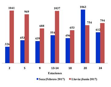 Concentración de fitoplancton (cél mL-1) en época seca (febrero) y época lluviosa (junio) en el golfo de Papagayo
