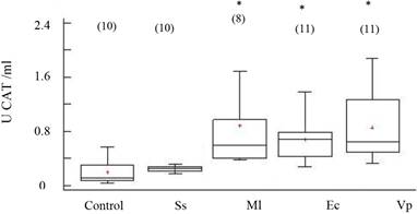 Actividad de Catalasa (CAT) en fluido celómico del erizo de mar Echinometra lucunter inoculados con solución salina (Ss), M. lysodeikticus (Ml), E. coli (Ec) y V. parahaemolyticus (Vp). (*) El asterisco muestra diferencias significativas *P<0.05. (N) indica en número de individuos analizados