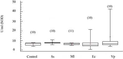 Actividad de superóxido dismutasa (SOD) en fluido celómico del erizo de mar Echinometra lucunter inoculados con solución salina (Ss), M. lysodeikticus (Ml), E. coli (Ec) y V. parahaemolyticus (Vp). (N) indica en número de individuos analizados