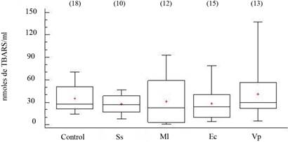 Concentraciones de sustancias que reaccionan al ácido tiobarbitúrico (TBARS) en fluido celómico del erizo de mar Echinometra lucunter inoculados con solución salina (Ss), M. lysodeikticus (Ml), E. coli (Ec) y V. parahaemolyticus (Vp). (N) indica en número de individuos analizados
