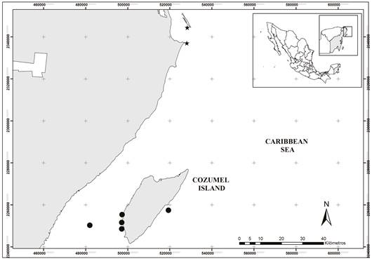 Map showing the records of Sanopus splendidus in the Mexican Caribbean Sea. Black stars indicate the new records at the Costa Occidental de Isla Mujeres, Punta Cancun y Punta Nizuc National Park