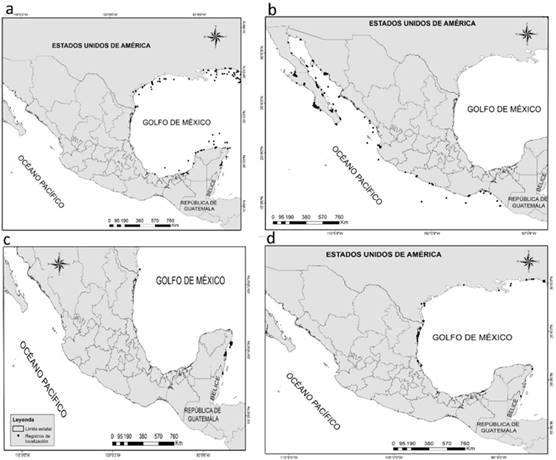 Registros de localización del género Hippocampus en las costas de México: A) H. erectus; B) H. ingens; C) H. reidi y D) H. zosterae