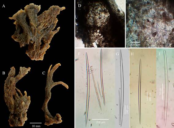 Peso de las capturas de cangrejos azules en el lago de Maracaibo entre los a&ntilde;os 1984 y 2002. No hay datos disponibles a partir del a&ntilde;o 2002