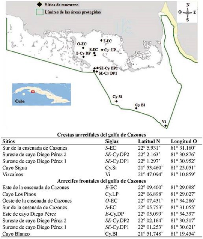 Ubicación geográfica de los sitios de muestreo en el golfo de Cazones