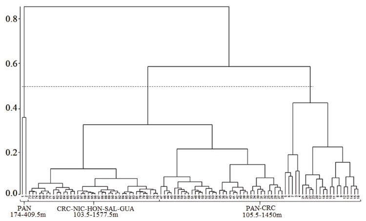 Dendrograma de las estaciones de muestreo utilizando la similaridad de Bray-Curtis. La línea punteada muestra el 50% de similaridad donde se definen 3 ensamblajes