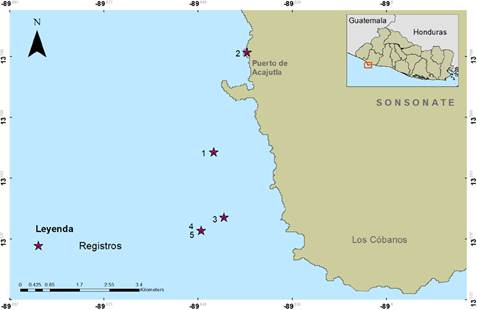Sitios de observaci&oacute;n de Pentaceraster cumingi, arrecife de Los C&oacute;banos, El Salvador, Centroam&eacute;rica. Registros: 1) observaci&oacute;n incidental de P. cumingi en el sector occidente del arrecife; 2) puerto de Acajutla; 3) La Pecerita; 4 y 5) Tres Cruces