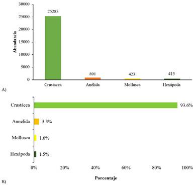 A) abundancia y B) composici&oacute;n porcentual de los grupos taxon&oacute;micos encontrados en ra&iacute;ces inmersas de mangle rojo en la Ci&eacute;naga de La Palmita, Sistema de Maracaibo, Venezuela