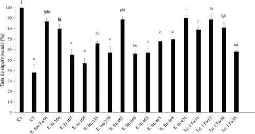 Actividad antioxidante in vivo de las cepas seleccionadas. Los resultados obtenidos equivalen al promedio y a la desviación estándar de tres experimentos independientes. Las medias con diferentes letras indican diferencias significativas (P ≤ 0.05)
